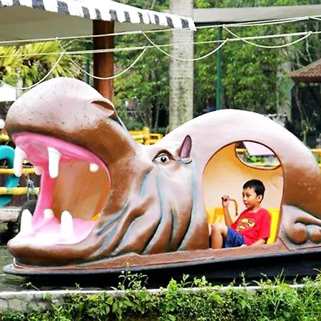 Royal Safari Garden Resort & Convention-3